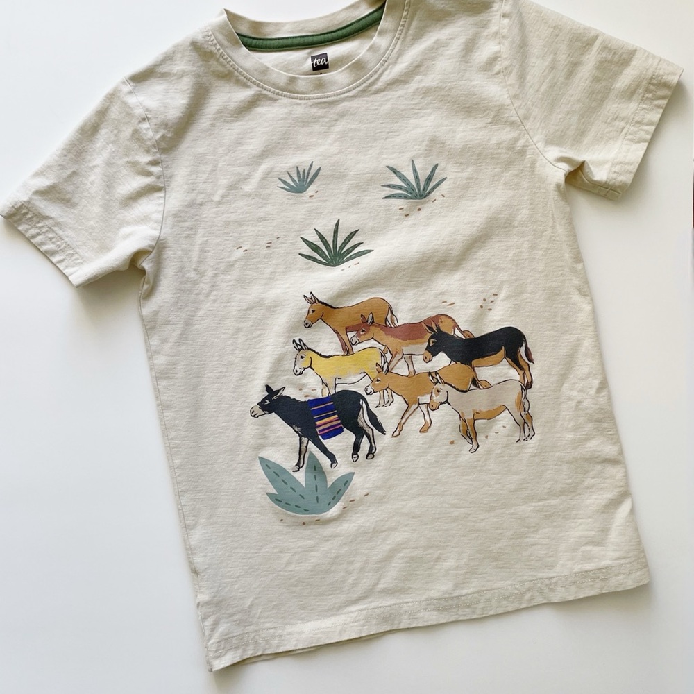 Tea Collection Graphic Tee Boys’ Size 8